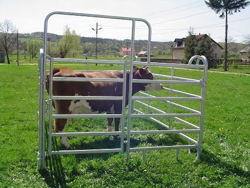 China Cattle Corral panels