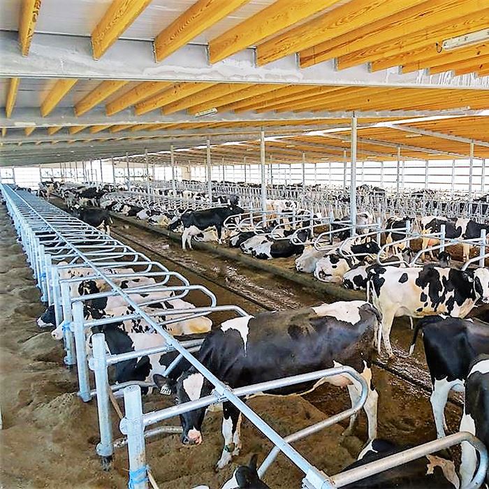 معدات الثروة الحيوانية