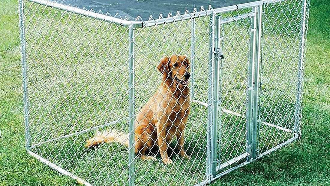 China chainlink panels for dogs